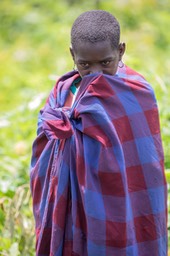 maasai