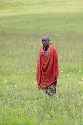 maasai