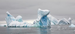 iceberg