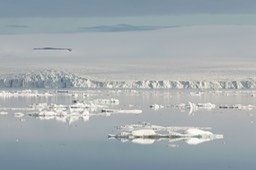 bjornsundet glacier