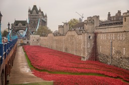 blood swept lands and seas of red