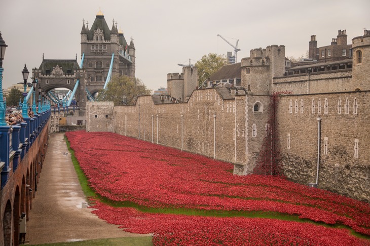 blood swept lands and seas of red