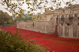 blood swept lands and seas of red