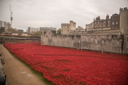 blood swept lands and seas of red