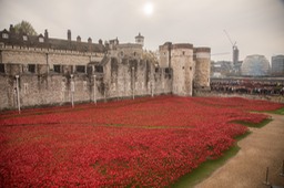 blood swept lands and seas of red