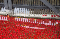 blood swept lands and seas of red