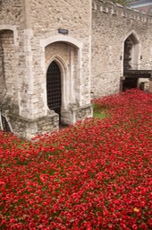 blood swept lands and seas of red