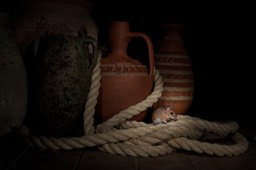 yellow necked mouse