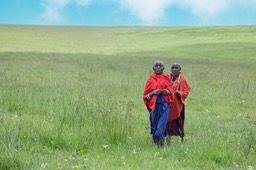 maasai