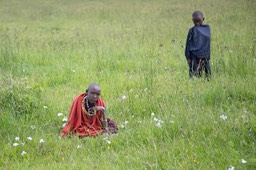 maasai